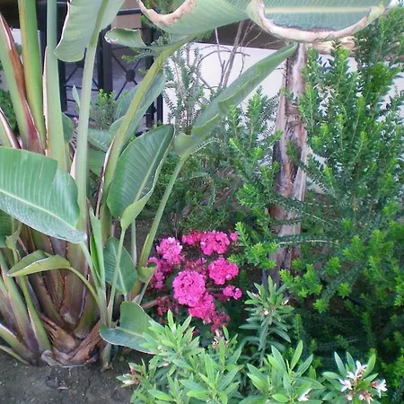 103 Elegant 2 Bed With Free Wifi, Ac, Pool & Gym! דירה *