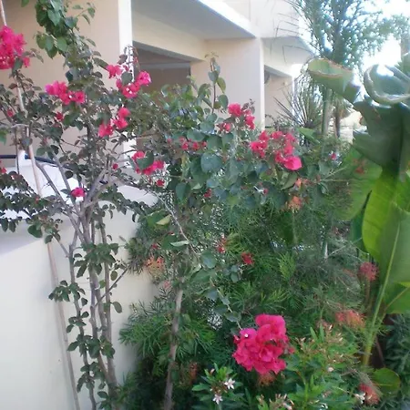 103 Elegant 2 Bed With Free Wifi, Ac, Pool & Gym! 아파트 라르나카