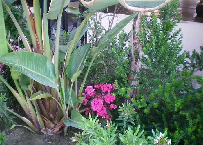 103 Elegant 2 Bed With Free Wifi, Ac, Pool & Gym! דירה *