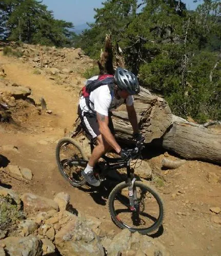 103 Elegant 2 Bed With Free Wifi, Ac, Pool & Gym! דירה לרנקה