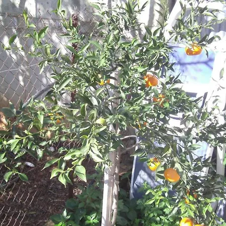 103 Elegant 2 Bed With Free Wifi, Ac, Pool & Gym! *