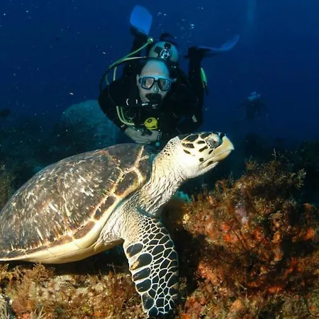 Apartment 103 Elegant 2 Bed With Free Wifi, Ac, Pool & Gym!