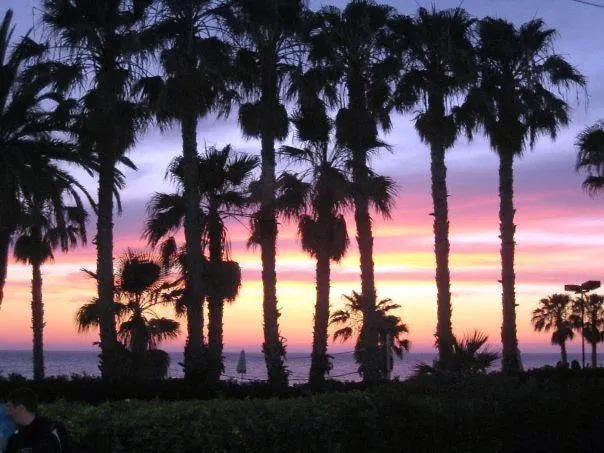 103 Elegant 2 Bed With Free Wifi, Ac, Pool & Gym! Apartment *