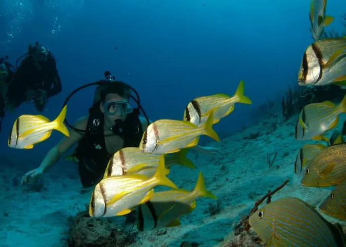 103 Elegant 2 Bed With Free Wifi, Ac, Pool & Gym!