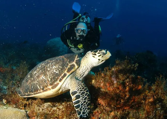 Appartamento 103 Elegant 2 Bed With Free Wifi, Ac, Pool & Gym!